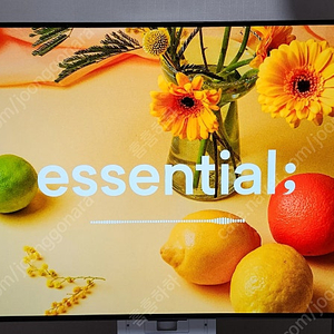 LG OLED TV 48C3ENA 스탠드 팝니다