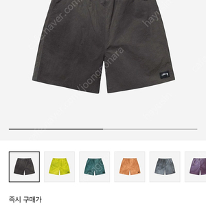 스투시 웨이브 쇼츠
