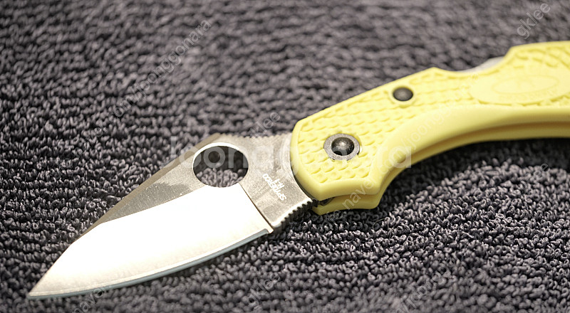 스파이더코 드래곤플라이 솔트 H1 SPYDERCO DR...--2