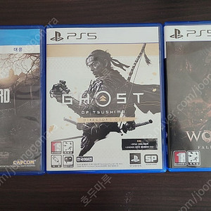 플스5 고스트 오브 쓰시마 와룡 플스4 바이오하자드7