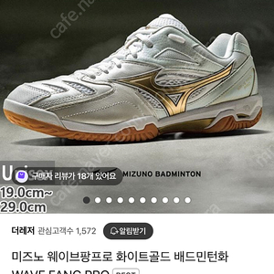 미즈노 웨이브팡프로 260사이즈 팝니다.
