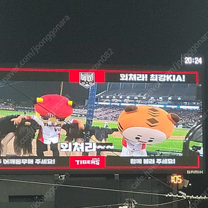 5월2일 챔필 타이거즈 가족석 6인삽니다