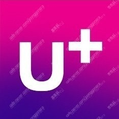 LGU 엘지유플러스 데이터 2GB 2기가