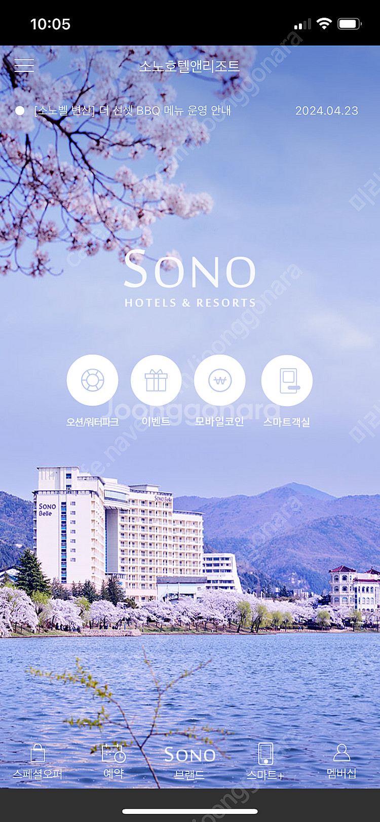 삼척 쏠비치 스위트 5/10 토--0