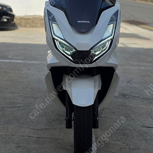 22년 혼다 pcx125 abs 깔끔