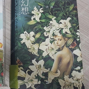절판 일러스트집 상태최상(정해찬, 환상)