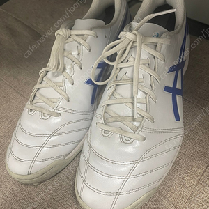 아식스 ds light club 265