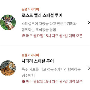 에버랜드 사파리 / 로스트밸리스페셜투어 5월3일