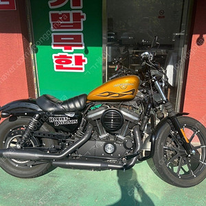 아이언883