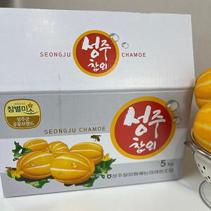 성주 산지 정품 참외 5kg 팝니다(선물용)