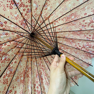 일본발 벚꽃 장우산 60cm 나무 손잡이 24살