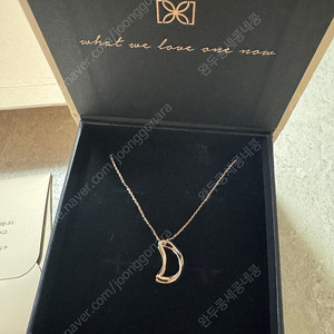 디디에두보 목걸이