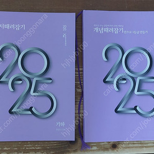 정승제 수학 개념때려잡기 2025학년도 기하