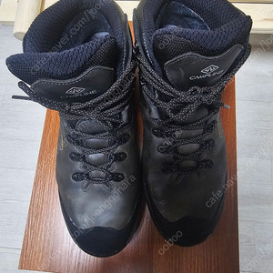 캠프라인 블랙스톰 오메가 280