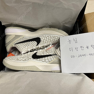 [290] 코비6 세일