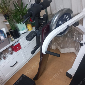 전문가용 운동기구