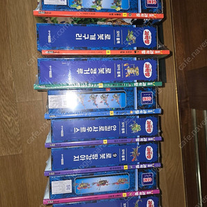 도전과학왕 & 빌드사이언스