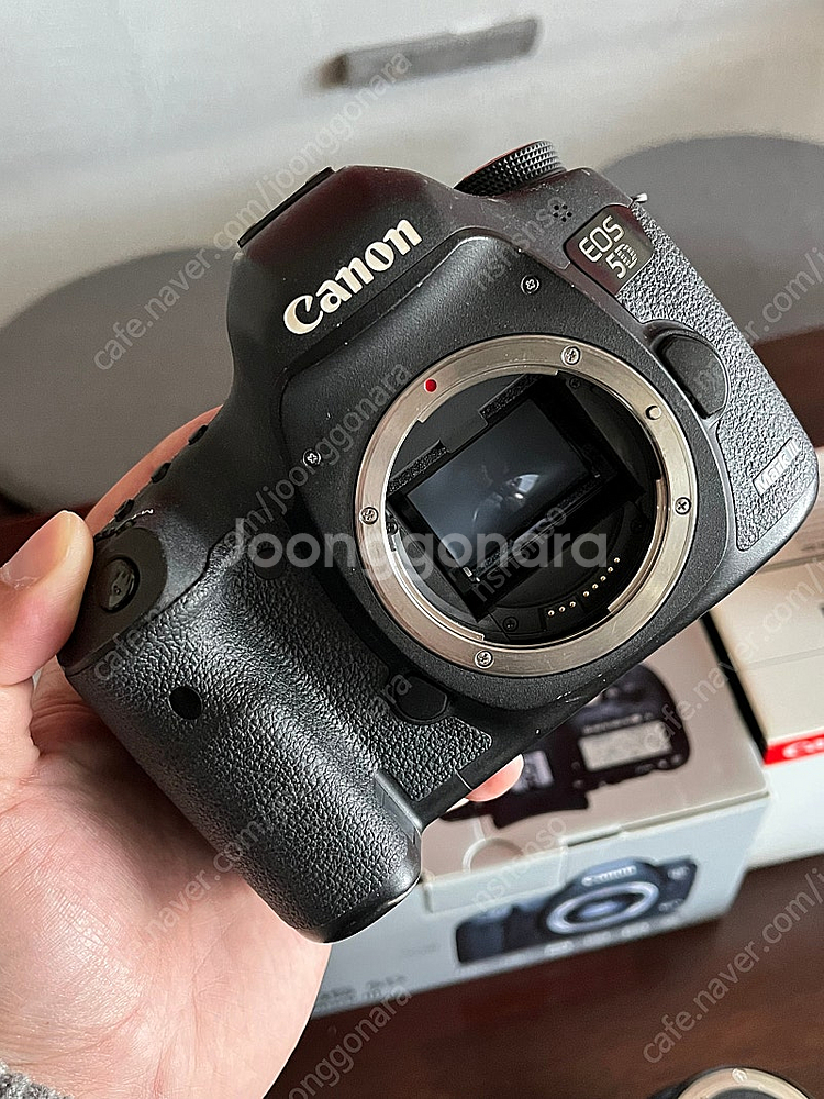 5d mark3(오막삼), ef 24-70f2.8L (...--6