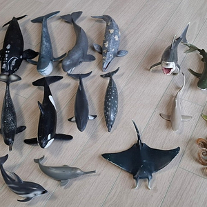컬렉타 바다 동물 고래 상어 피규어 19종