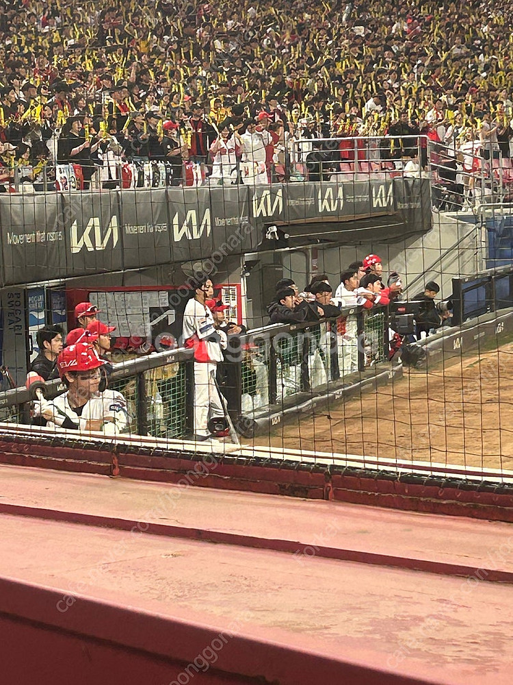 5월2일 기아타이거즈 2연석 구해봅니다--0