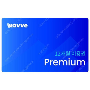 WAVVE 웨이브 1년(12개월) 프리미엄 이용권
