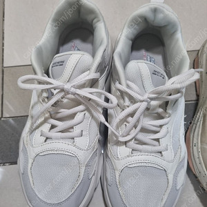 스케쳐스 스케처스250사이즈