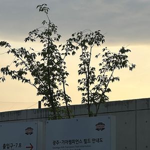 5월2일 기아타이거즈경기 티켓 3장 구해요