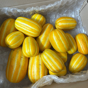 [한정판매] 산지직송 성주 몬난이 꿀참외 도착! 수량 적어요~ 놓치지 마세요
