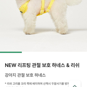 프러젝트21 강아지 관절 보호 하네스