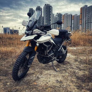 트라이엄프 타이거 900 랠리 프로