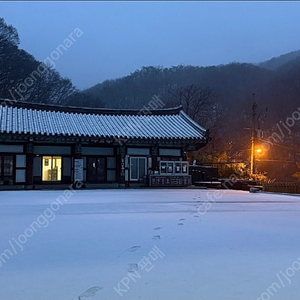 KPN 한우정액