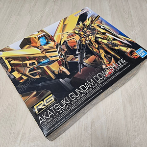 RG 아카츠키 건담