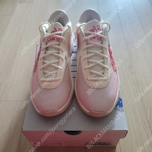 [285] 나이키 프릭6 루카2 KD15 팝니다.(판매중)