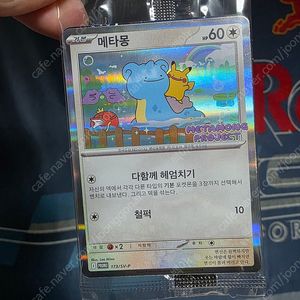 포켓몬 카드 메타몽! 택포 가격!!