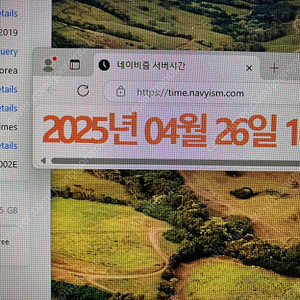 아이패드 프로 11인치 1세대 64g 셀룰러