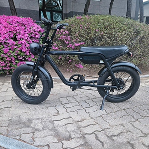 퀄리 볼트B 자토바이 48V 500W