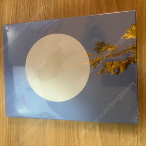 윤지영 blue bird ep cd