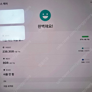 갤럭시탭 s8 울트라 256g wifi