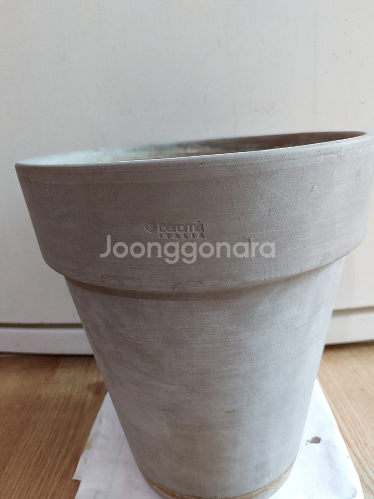 데로마 토분/ 미스김 라일락/ 알로카시아/ 야생화--1