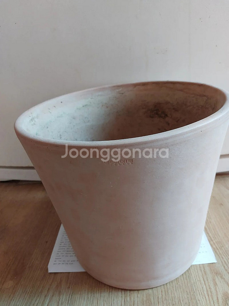 데로마 토분/ 미스김 라일락/ 알로카시아/ 야생화--0