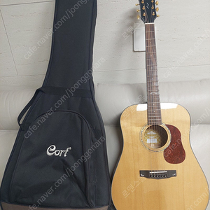 통기타 Cort gold D6 올솔리드