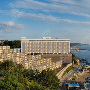 (오늘 급가실분) 천안 소노벨 / 영덕 파나크 오션뷰