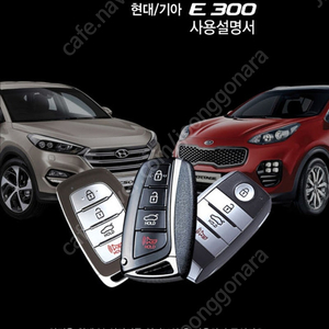 이지카e300