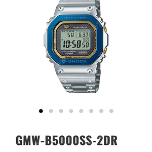 GMW-B5000SS-2DR 구매