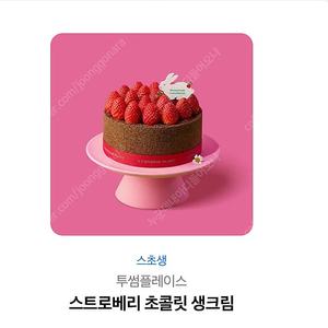 투썸 스트로베리 초콜릿 생크림 케이크