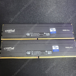 크루셜 ddr5 pro 5600mt/s 램 32gb