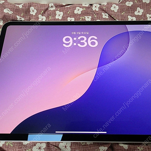 아이패드 프로 11 M4 와이파이 실버 256GB