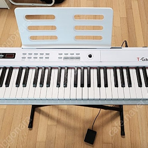 토이게이트 루드비히 88건반 디지털피아노