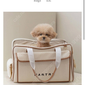 마르뜨 이터널 백 강아지 이동가방