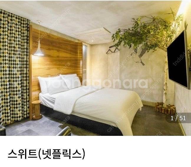 신촌신디호텔 스위트 양도--0